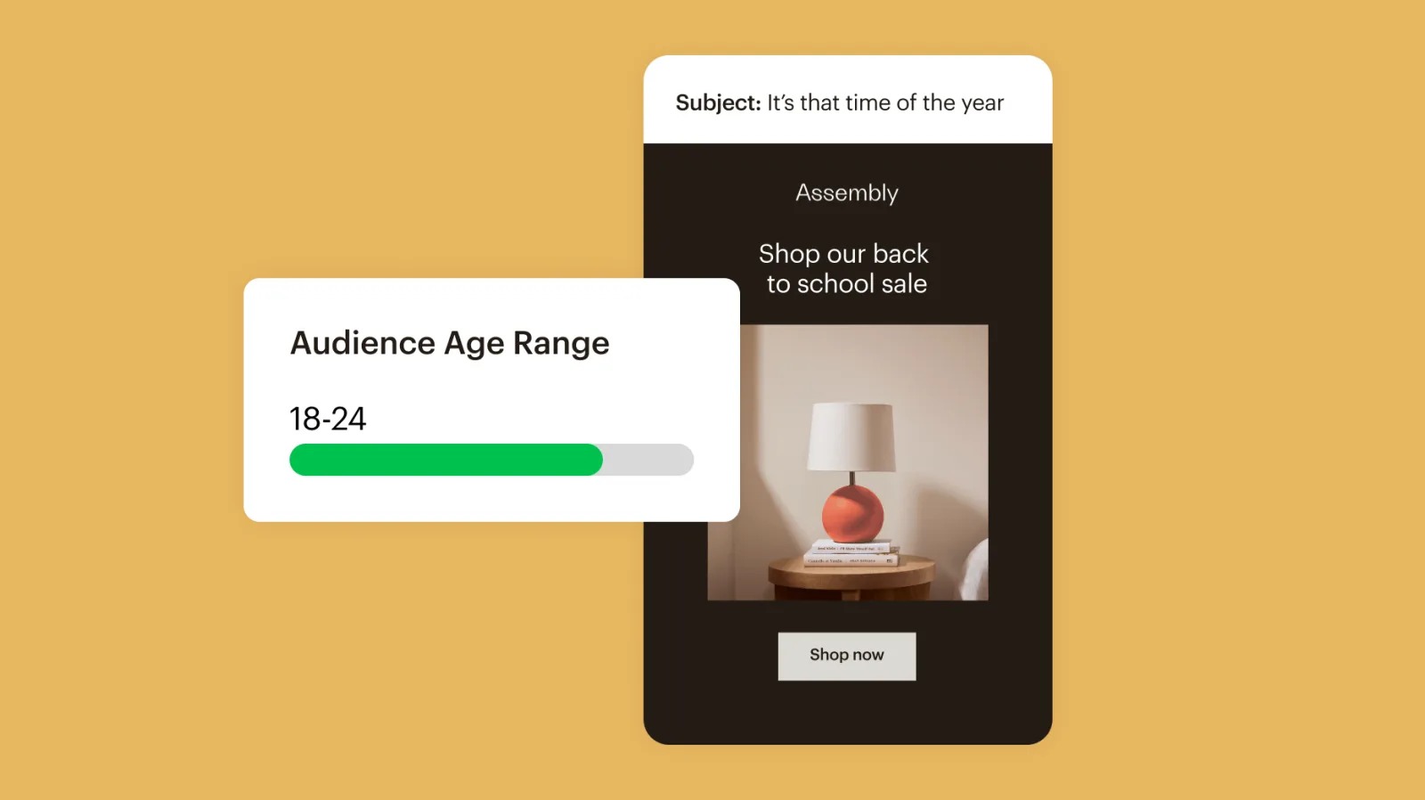 Mailchimp 受眾分眾設定，含 Tags 標籤管理與 Segments 條件篩選