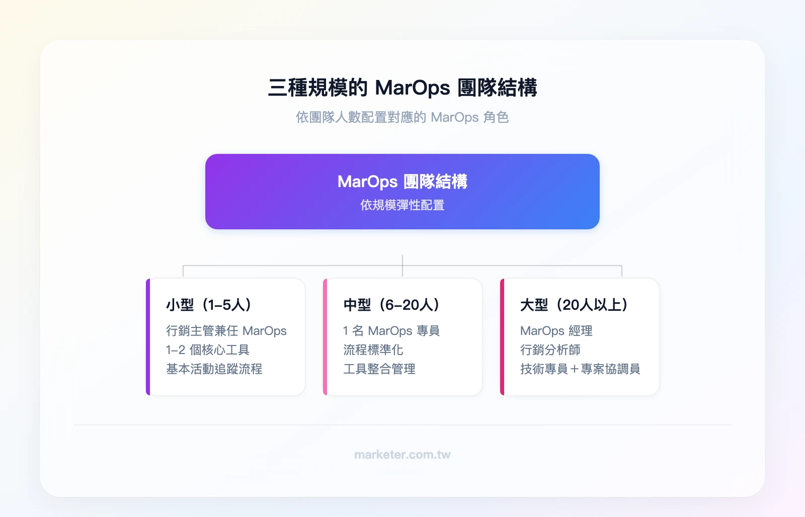 三種規模的 MarOps 團隊結構：小型（1-5人）行銷主管兼任 MarOps；中型（6-20人）設 1 名 MarOps 專員搭配行銷主管；大型（20人以上）獨立 MarOps 部門含經理、分析師、技術專員、專案協調員