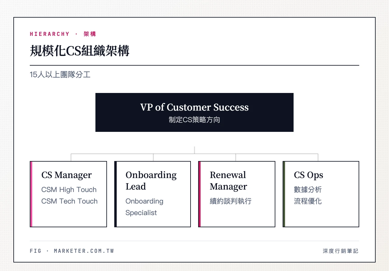 規模化 CS 組織架構：VP of Customer Success 下轄 CS Manager（管理 CSM High Touch 與 CSM Tech Touch）、Onboarding Lead（管理 Onboarding Specialist